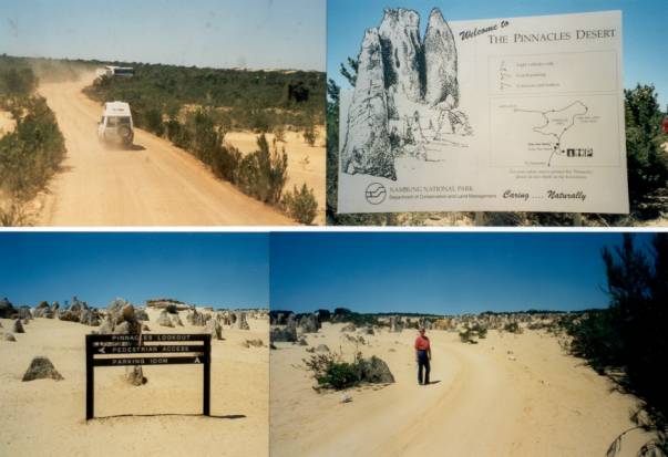 Westaustralien Rundreise, Nambung NP, Nationalpark, Kalksteinsaeulen im Pinnacles Desert