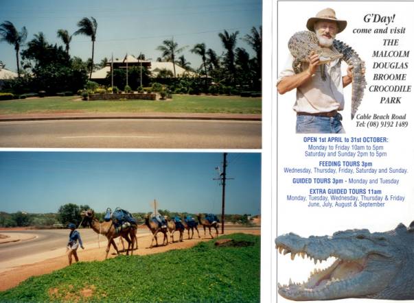 Westaustralien Rundreise, Broome, Malcom Douglas, Broome Crocodile Park, Perlenfischen, Perlen