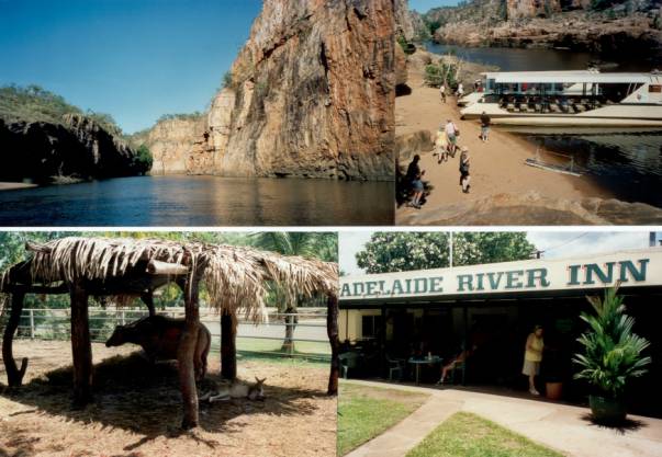 Westaustralien Rundreise, Katherine, Adelaide River, Adelaide River Inn, Flughunde