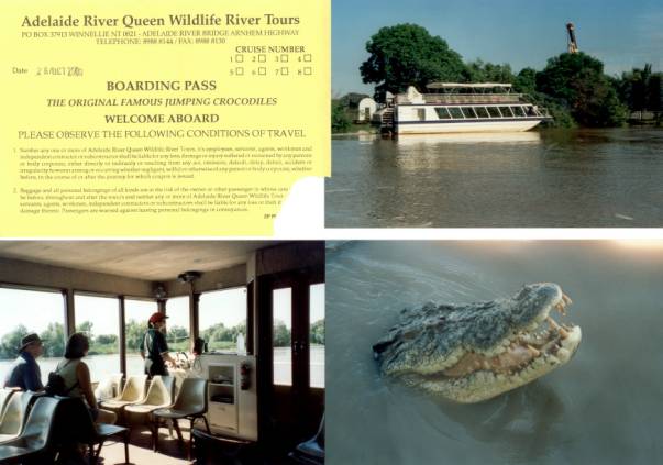 Westaustralien Rundreise, Adelaide River, Jumping Crocodile Cruise, Jumping Crocodile, springende Krokodile, Salzwasserkrokodile