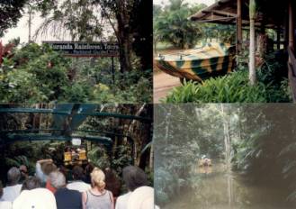 Australien Rundreise, Queensland, Cairns, Kuranda, Aboriginal, Vorfuehrungen, Rainforestation im Regenwald