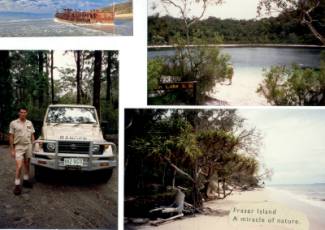 Australien Rundreise, Queensland, Kingfisher Bay Resort, Fraser Island, Sandinsel, Jeeptouren, Jeep